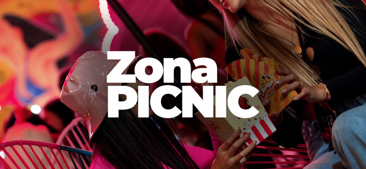 ZonaPicnicN